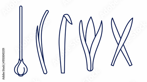 Surgical tools line drawing icons set. Spring Vector Packs. EPS Editable