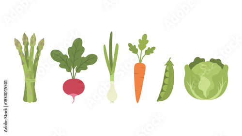 Variety of fresh organic vegetables. Spring Vector Packs. EPS Editable