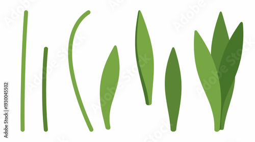 Variety of green leaf shapes isolated. Spring Vector Packs. EPS Editable