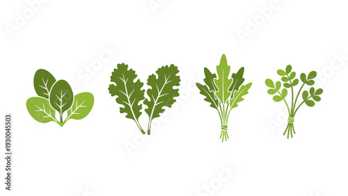Variety of leafy green vegetable plants. Spring Vector Packs. EPS Editable