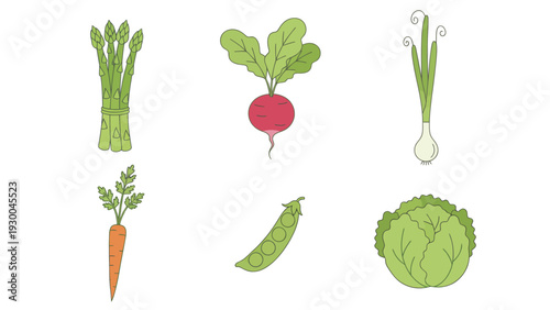 Vegetables illustration set with icons. Spring Vector Packs. EPS Editable