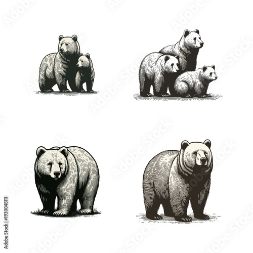Collection of bear illustrations in vintage woodcut and engraving style, featuring grizzly bears, mother bear with cub, and bear family