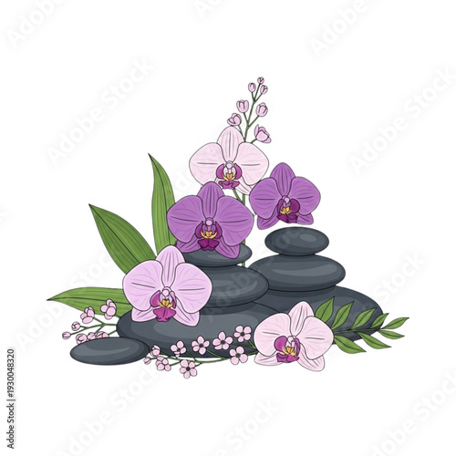 Zen Spa Vector Illustration with Black Stones and Orchid Flowers