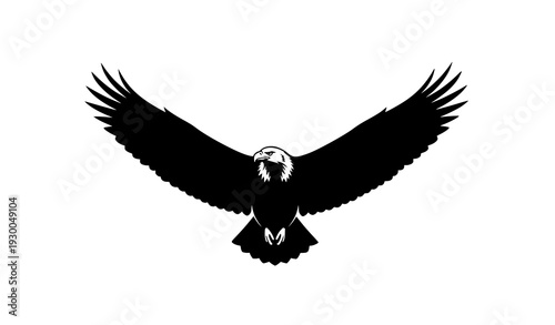 Flying Eagle Silhouette Vector Powerful Bird Isolated on White