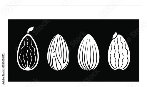 Stylized White Almonds on a Black Background: A Minimalist Food