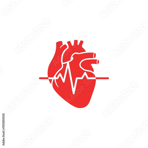 Human heart with electrocardiogram line.