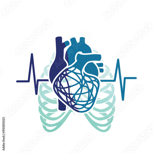 Human Heartbeat and Rib Cage Medical Illustration.