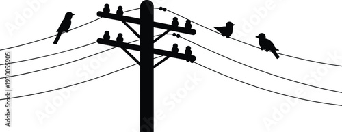 Silhouette of birds on a utility pole and power lines against a white background Keywords: birds, silhouette, power lines