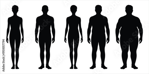 Silhouettes Of Human Body Types From Thin To Obese On White Background figure shape