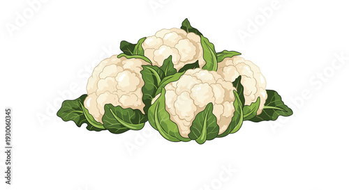 Heap of several fresh cauliflower heads with green outer leaves is presented on a clean white background in a detailed illustration.