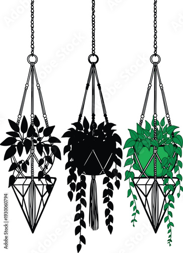 Macrame hanging plant decor with geometric pots and leafy greenery, modern minimalist interior illustration isolated on white background for home decor design projects