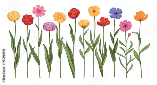 Elegant row of various colorful wildflowers on long green stems for a natural and floral background design.
