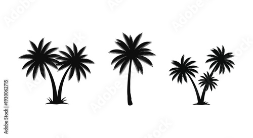 A minimalist depiction of several palm trees against a white background presented as a silhouette high quality professional