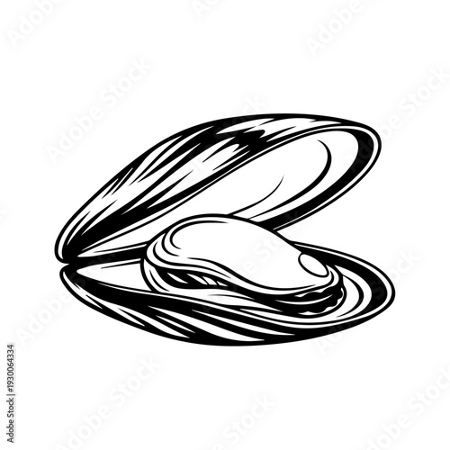 An open mussel shell illustration showcasing a pearl inside with a detailed sketch view