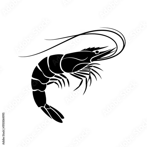 Illustration of a shrimp with flowing antennae from a side view