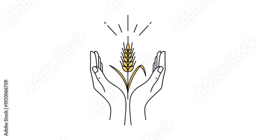 Minimalist line art illustration of human hands gently cupping a golden wheat stalk for agricultural themes.