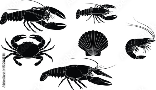 Lobster crab shrimp shell silhouette artwork, marine crustacean illustration, seafood animal design, decorative ocean graphic, aquatic biology artwork concept