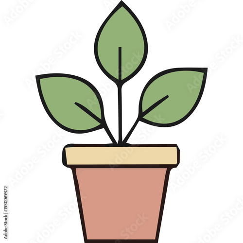 Office Supplies for Maximum Productivity