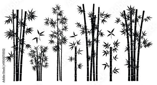 A striking black and white image of dense bamboo stalks and foliage presented as a silhouette high quality