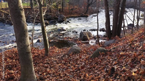 Drone flying at low altitude between trees getting closer to the river in the Fall with leaves covering the ground