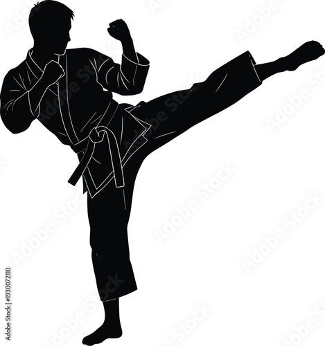 Martial arts silhouette of fighter performing powerful high kick in traditional uniform, showcasing discipline, strength, agility, balance, precision, technique