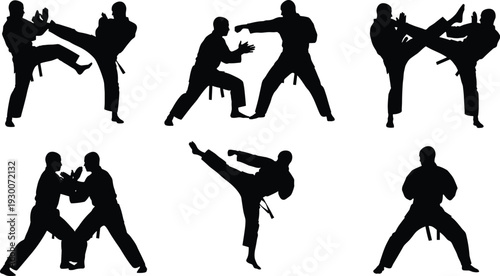 Six martial arts silhouettes in dynamic combat stances, showcasing high kicks, punches, defensive blocks, discipline, strength, agility, precision