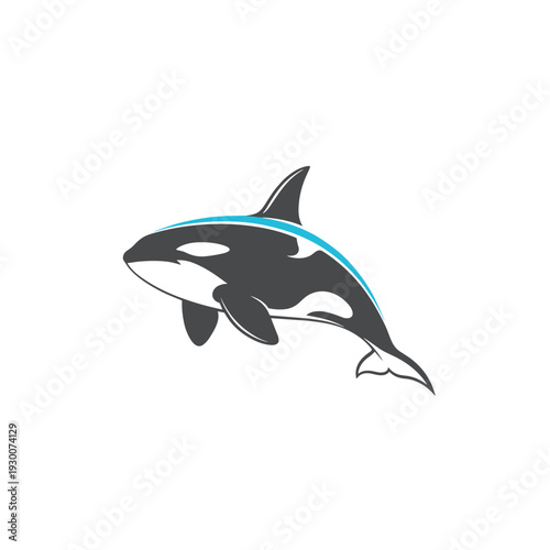 Modern stylized orca killer whale illustration with a vibrant blue stripe