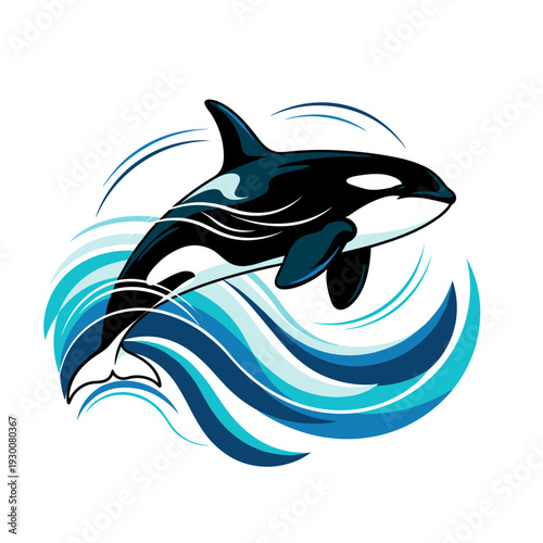 Orca killer whale jumping over blue ocean waves illustration