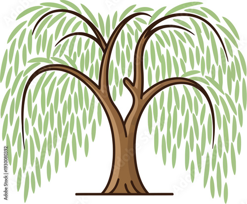 Beautifully stylized cartoon illustration of a weeping willow tree with lush green leaves and gracefully drooping branches on a clean white background.
