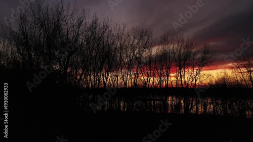 Drone crane shot moving up slowly behind the black silhouette of bare trees, at the end of sunset, with dramatic colors of orange, gold, and turquoise 