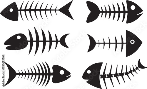 Fish Skeleton: Artistic illustration of various fish bone structures with a classic touch, showcasing skeletal anatomy.