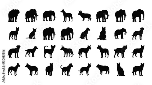 A collection of black animal silhouettes on a white background isolated on white background, Vector