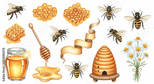 Watercolor bee hive honey dipper honeycomb and bees illustration set