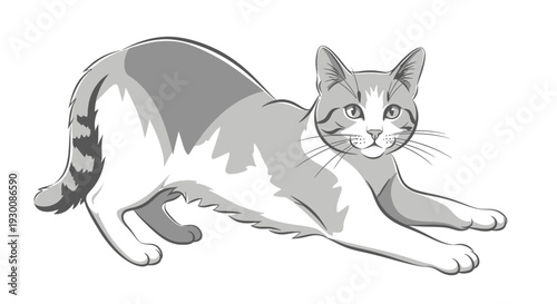 Stretching cat illustration on white background for various design projects