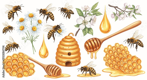 Watercolor bee and honey elements illustration for design projects