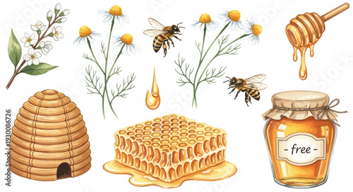 Watercolor bee and honey elements illustration for design projects
