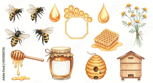 Watercolor bee and honey elements illustration for design projects