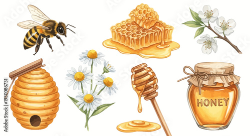 Watercolor bee and honey elements illustration set for design and decoration