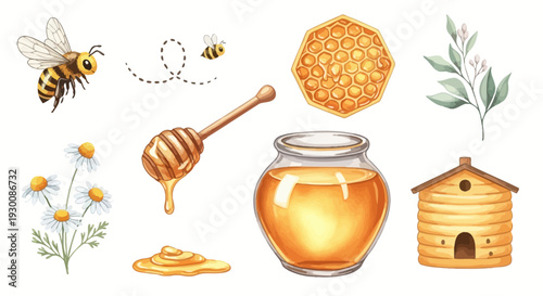 Watercolor bee and honey elements illustration set for design projects