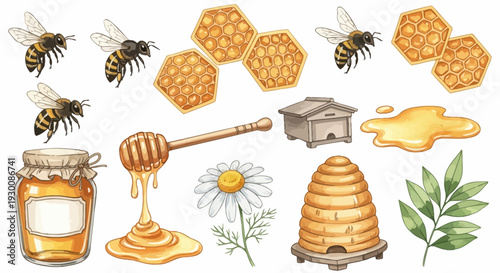 Watercolor bee and honey elements isolated on white background collection