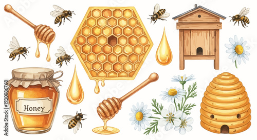 Watercolor bee and honey elements isolated on white background design