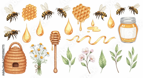 Watercolor bee and honey elements set for design projects