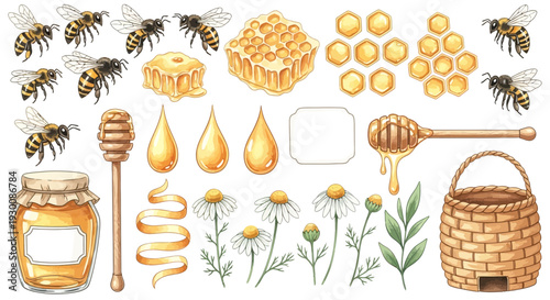 Watercolor bee and honey elements set for design isolated on white