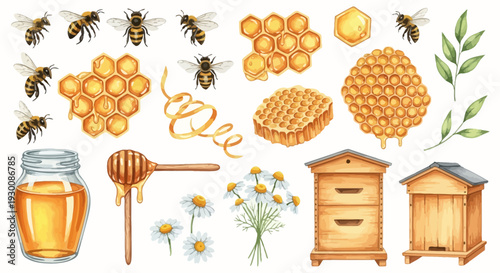 Watercolor bee and honey elements set for design projects and commercial use