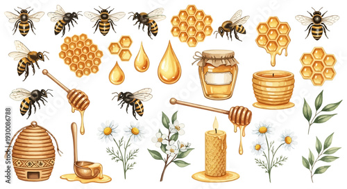 Watercolor bee and honey elements set for design and decoration