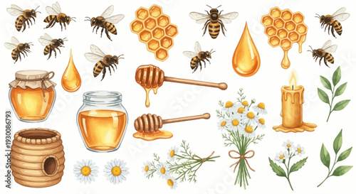 Watercolor bee and honey elements set for design projects and commercial use