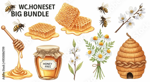 Watercolor bee and honey elements set for design projects and commercial use