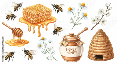 Watercolor bee and honey elements set for natural product design