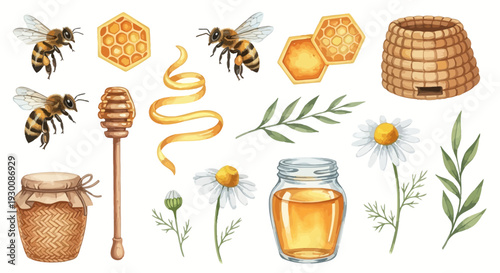 Watercolor bee and honey elements set for natural product design