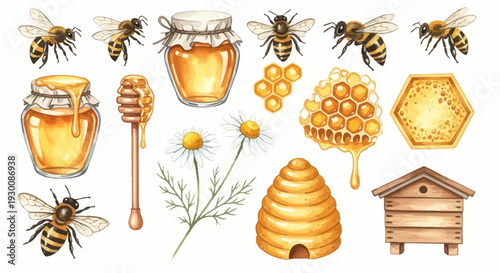 Watercolor bee and honey elements set isolated on a white background